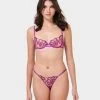 BLUEBELLA Set: Catalina Bright Violet/Sheer